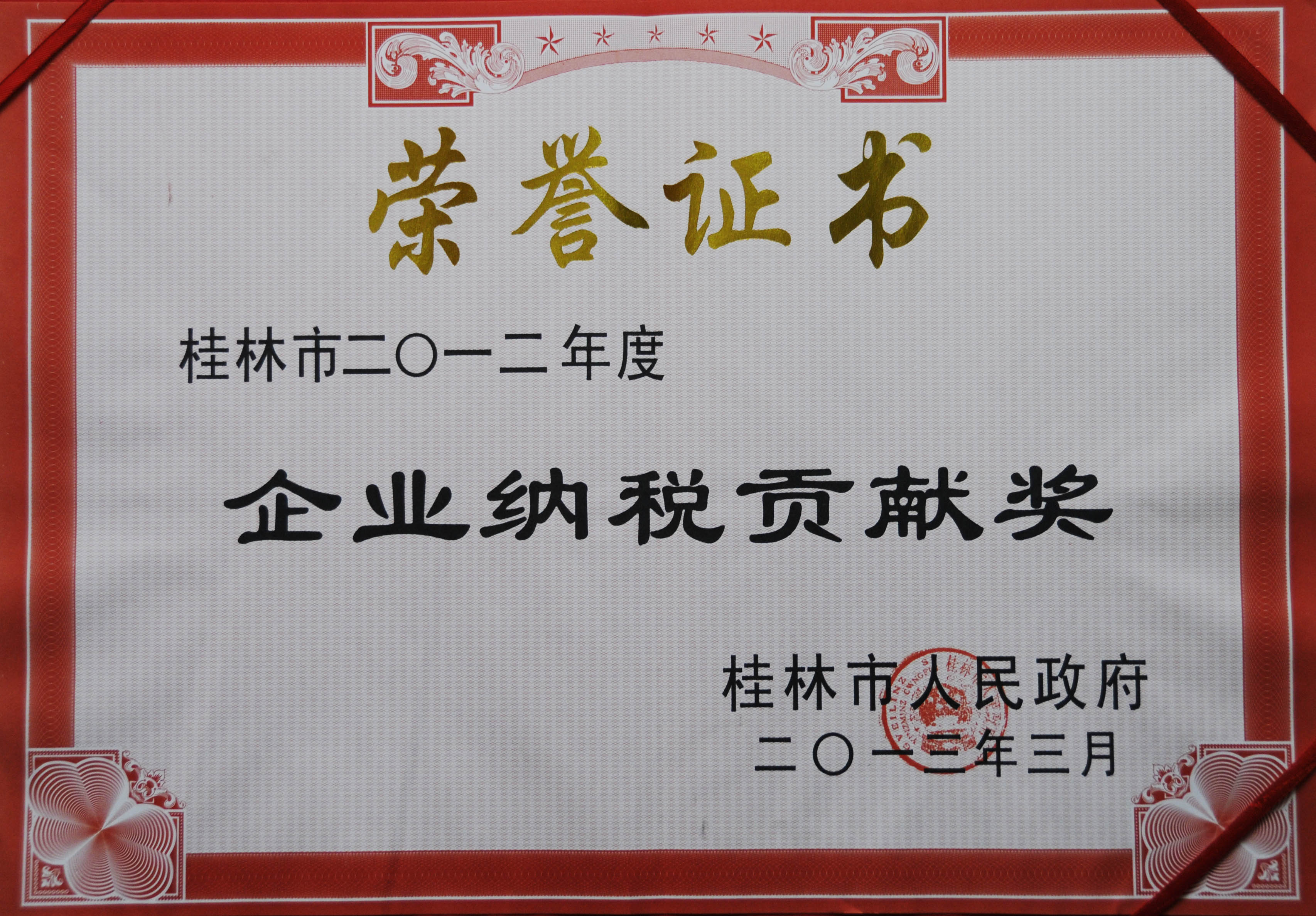 2013纳税先进