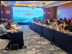 <b>桂江桂林市城区治理工程（一期）可行性研究报告咨询会顺利召开</b>